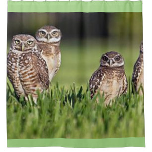 burrowing owls shower curtain