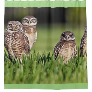 burrowing owls shower curtain