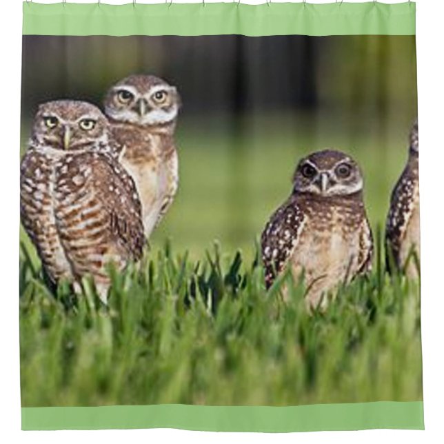 burrowing owls shower curtain (Front)