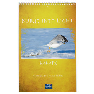 Burst of Light Calendar