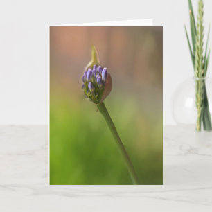 Bursting Forth Note Card