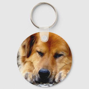 burt key ring