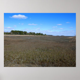 Burton Island Nature Preserve Trail Poster