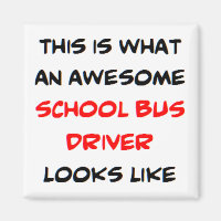 bus driver, school, awesome