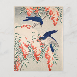 Bush and Fly Catchers in Snow by Ohara Koson Postcard