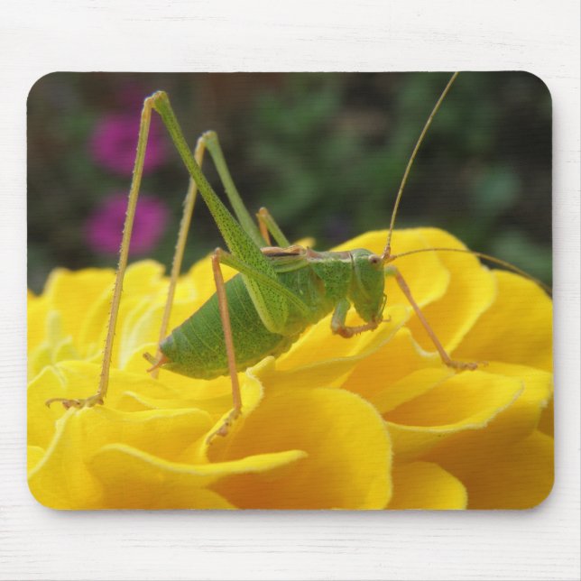 Bush Cricket Mousepad (Front)