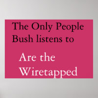 Bush influentials