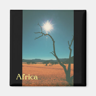 Bush Savannah Landscape Africa Tree Magnet