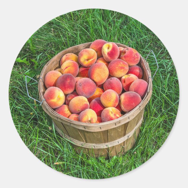 Bushel Basket of Fresh Peaches Classic Round Sticker (Front)