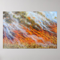 Bushfire Inferno 2014