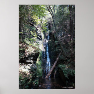Bushkill Falls in the Poconos. print 0206