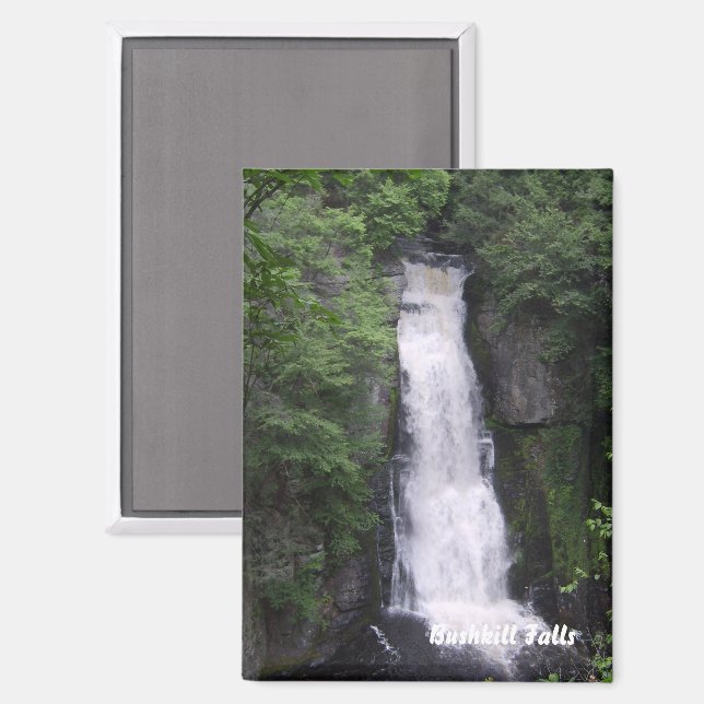 Bushkill Falls Rectangle Magnet (Front/Back)