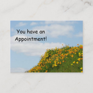 Business Appointment Cards Blue Sky Appts