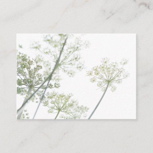 Business Card (Front)