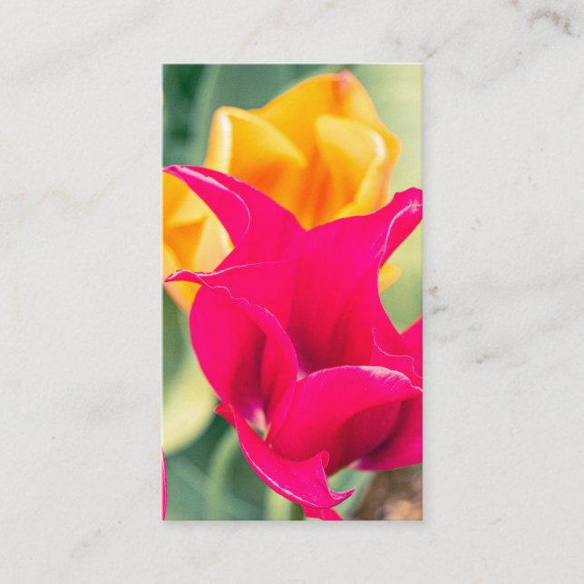 Business Card (Front)