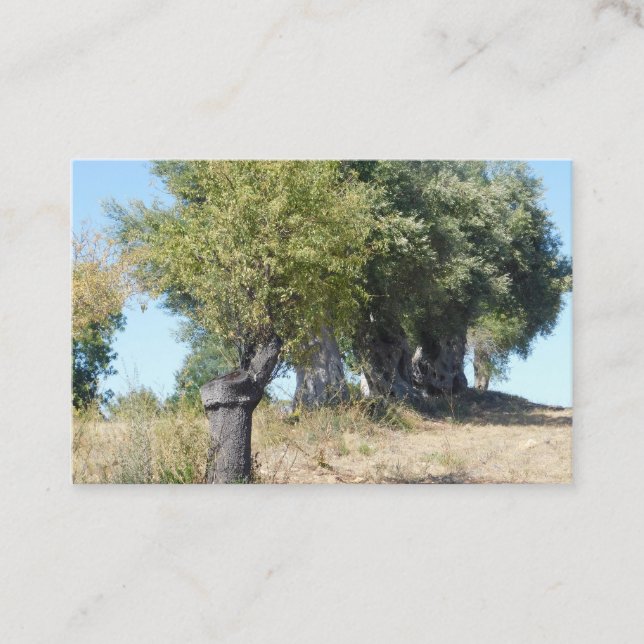 Business Card ART&DESIGN STYLE  (Front)