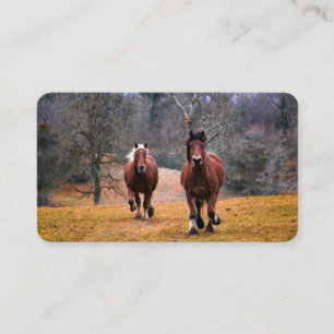 Business Cards