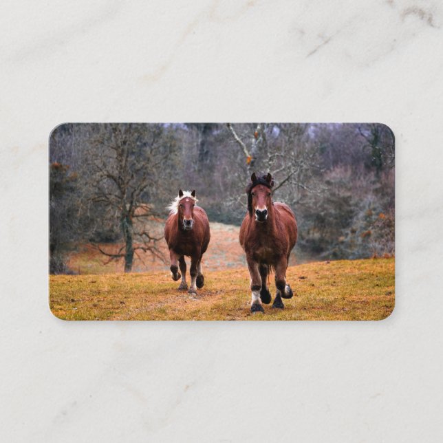Business Cards (Front)