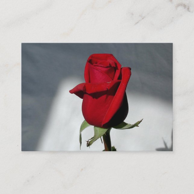 Business Cards (Front)