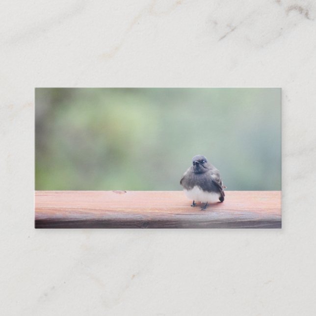 business cards (Front)