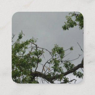 BUSINESS CARDS ART&DESIGN STYLE