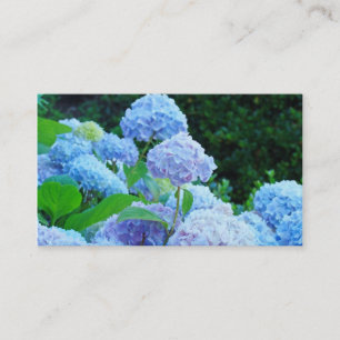 Business Cards Blue Hydrangea Flowers Floral