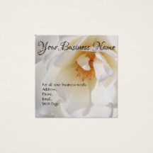Business Cards - Self Promotion