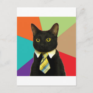 Business Cat Advice Animal Meme Postcard