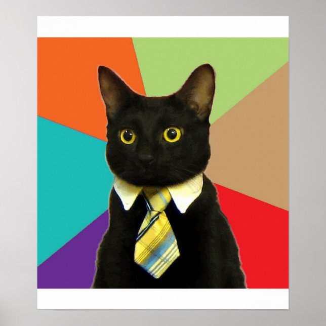 Business Cat Advice Animal Meme Poster (Front)