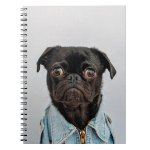 business dog notebook