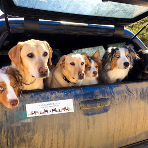 Business Dog Walker Pet Sitter Advertising Bumper Sticker