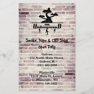 Business Logo and Address info Double Sided  Flyer