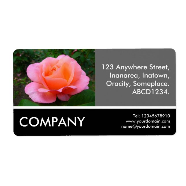 Business Photo - Pink Rose (Front)