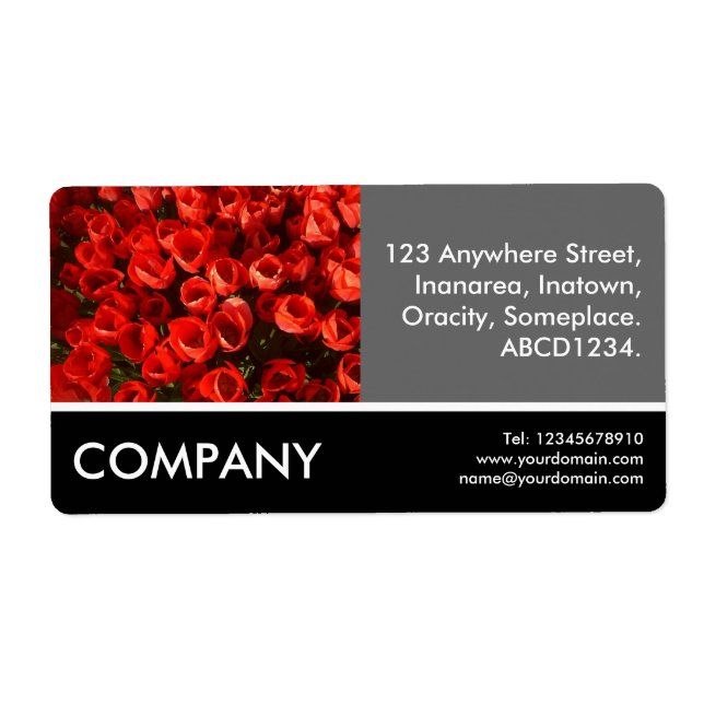 Business Photo - Red Tulips (Front)