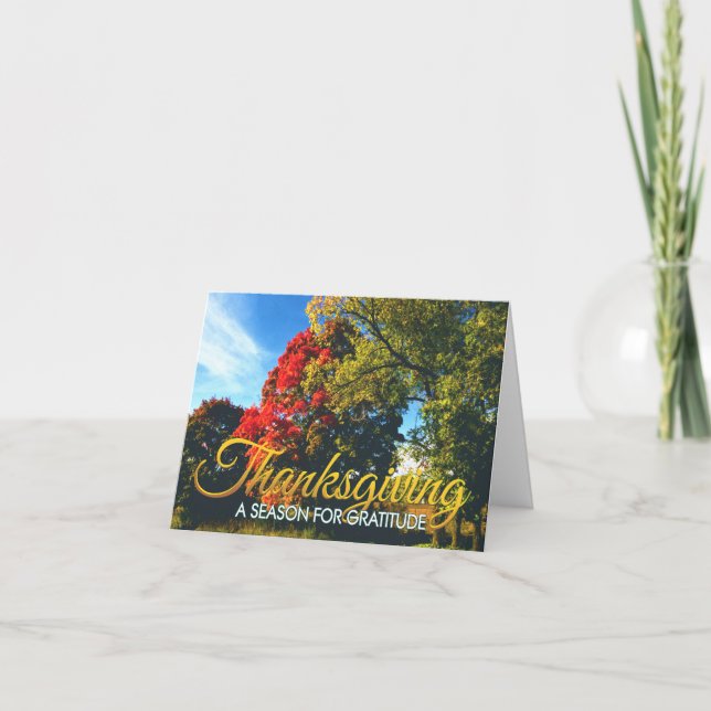 Business Thanksgiving card 17 (Front)
