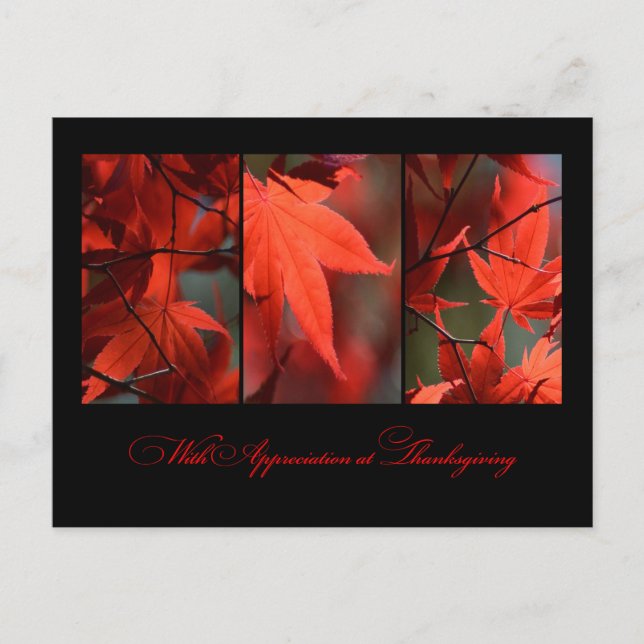 Business Thanksgiving Postcard (Front)
