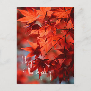 Business Thanksgiving Postcard / Red Autumn Leaves