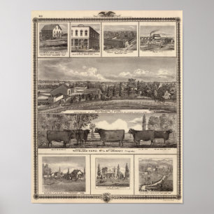 Businesses, residences, Cedar County Poster