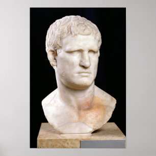 Bust of Agrippa Poster
