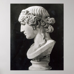 Bust of Antinous  called 'Antinous Mondragone' Poster