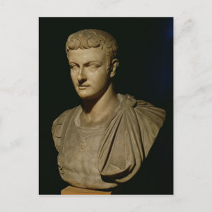 Bust of Caligula Postcard