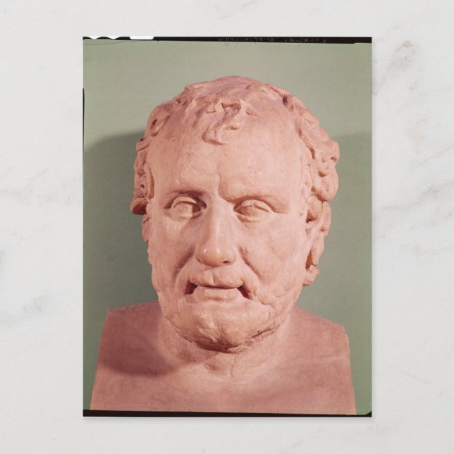 Bust of Eschinus, c.480-476 BC Postcard (Front)
