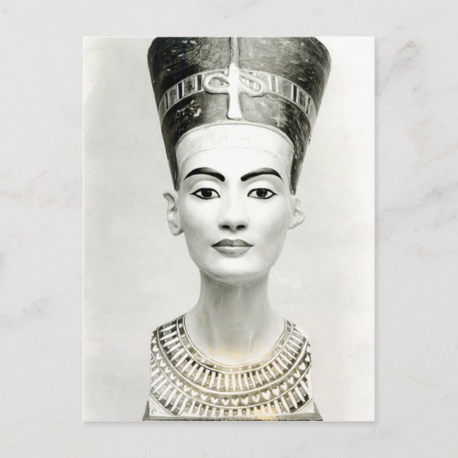 Bust of Queen Nefertiti Postcard (Front)