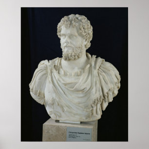Bust of Septimus Severus Poster