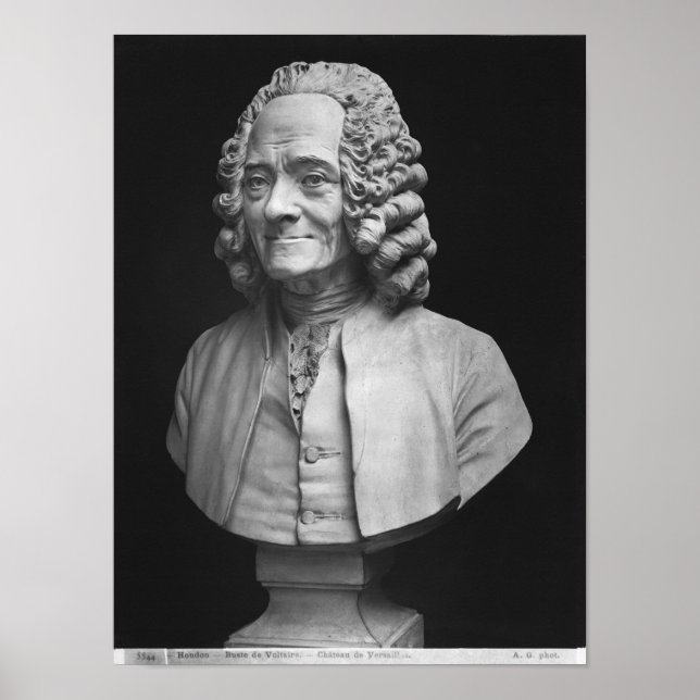 Bust of Voltaire Poster (Front)