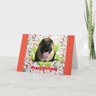 Bust Out German Shepherd Birthday Greeting Card