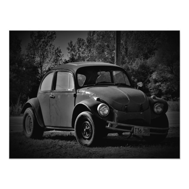 "Busted Bug" Photo Print (Front)