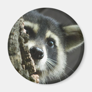 Busted Magnet