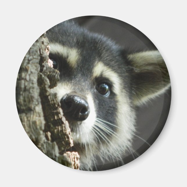 Busted Magnet (Front)