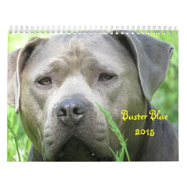 Buster Blue Calendar (Cover)